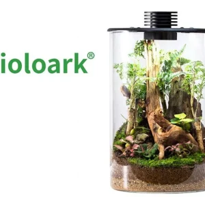 Bioloark Bio Bottle ZD200 Wabi-Kusa / Biosphäre, Zylinderform Begrenztes Angebot